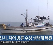 군산시, 치어 방류 수상 생태계 복원