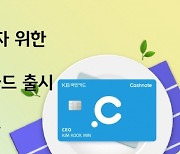 개인사업자용 ‘캐시노트 KB카드’