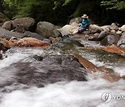 전남 화순 도원계곡 한 달여간 한시적 개방