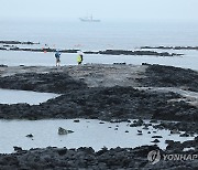 장맛비 속 바닷가 산책