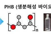 "CO₂로 친환경 플라스틱 만드는 미생물 효율 1.6배로 높여"