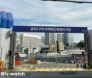 [르포]'마래푸냐, 마자힐이냐'…공덕동 대장아파트 등장?