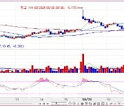 미국채 10년물 4.3% 돌파에도 1bp 미만 하락…미 5월 PCE 대기[채권분석]