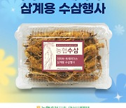 [포토] 농협경제지주, 삼계용 수삼 판매