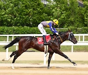 [경마]제17회 오너스컵, 코리아 프리미어의 서막 오른다!