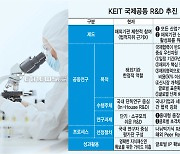 [R&D 국제협력] 글로벌 기술협력 늘려 핀셋형 R&D 지원한다