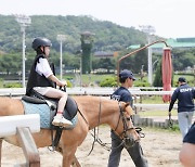 말과 함께하는 색다른 경험, '도심 속 승마체험' 하반기에 다시 만나요