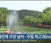 울산 대기 불안에 흐린 날씨…주말 최고 80mm 비