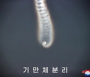 “발사직후 ‘비틀비틀·뱅글뱅글’ 비행후 산산조각”…北 ‘다탄두 주장 미사일’ 軍촬영 영상 분석