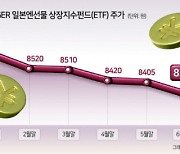 엔저 지속에 일학개미 ‘잔인한 6월’