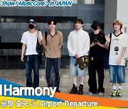 피원하모니(P1Harmony), 살포시 수줍은 매력 (출국)[뉴스엔TV]