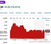 엔비디아 오늘도 0.36% 하락, 이틀 연속 ↓