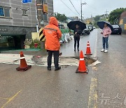 '나무 쓰러지고, 간판 떨어지고'…광주·전남 장마 피해 속출(종합)