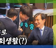 [돌발영상] 사회생활