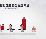 "與 지지층 55% 한동훈 선호...원희룡 19%·나경원 14%"[갤럽]