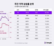 [주간코인시황] 비트코인, 마운트곡스 우려에 약세… 솔라나는 11% 상승