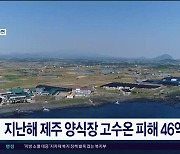 지난해 제주 양식장 고수온 피해 46억 원