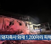 구례 돼지축사 화재 1,200마리 피해