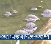 전남도, 왕우렁이 피해 방지에 1억 4천만 원 긴급 투입