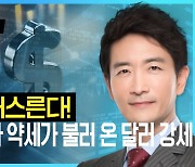 글로벌 통화 약세가 불러온 달러 강세 [박문환 시선집중]