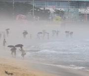 [속보]부산 대다수 지역 호우경보, 지하차도 등 통제