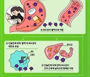 올 여름 혈당다이어트 도전?…'식단탄' 순서 기억하세요