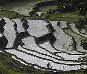 NEPAL AGRICULTURE