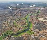 Brazil Pentanal Fires