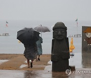 장맛비 퍼붓는 주말 제주, 한라산 통제·"올레길 걷기 자제"