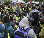 Germany AFD