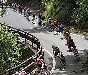 Cycling Tour de France