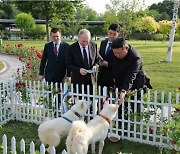 크렘린궁 "김정은 선물한 풍산개 검역 마치고 적응 중"