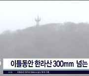 이틀동안 한라산 300mm 넘는 폭우