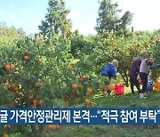 노지감귤 가격안정관리제 본격…“적극 참여 부탁”