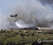 Greece Wildfire