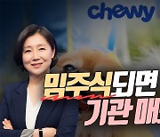 츄이, 밈주식되면 어쩌나…기관 이탈 우려(영상)