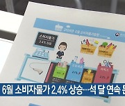 6월 소비자물가 2.4% 상승…석 달 연속 둔화