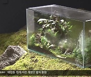 대구아트웨이 ‘산책자’展…산책하며 작품 감상