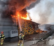 청도 화양읍 농산물 보관 창고서 불…복숭아 저장 창고 소실(종합)