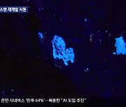 영월 상동 텅스텐 재개발 시동…폐광지 부활 기로