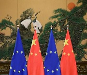 EU, 중국산 EV 추가관세안 둘러싸고 막판 난항