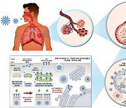 [쿠키과학]'반데타닙' 코로나19 치료 효과 높아