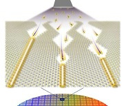 [쿠키과학]"반도체 개념을 바꾼다"...IBS, 차세대 극소형 반도체 소자 개발