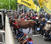 [포토] “소 한 마리당 230만원 적자”… 시위 나선 축산농가