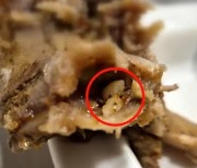 “뼈다귀 사이에 밥알이”… 전주 유명 해장국집, 음식 재사용 의혹