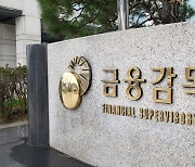 금감원, ‘두달간 11조 폭증’ 은행권 가계대출 현장점검 나선다
