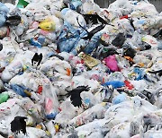 세계 일회용 비닐봉투 없는 날에 버려진 폐비닐