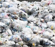 세계 일회용 비닐봉투 없는 날에 버려진 폐비닐