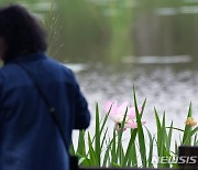 "푹푹 찐다"…광주·전남 장맛비·무더위 한동안 계속