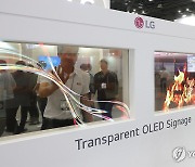 '세계 유일 투명 OLED' 나노 코리아 2024